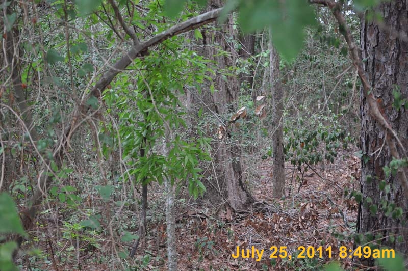 Entergy 013